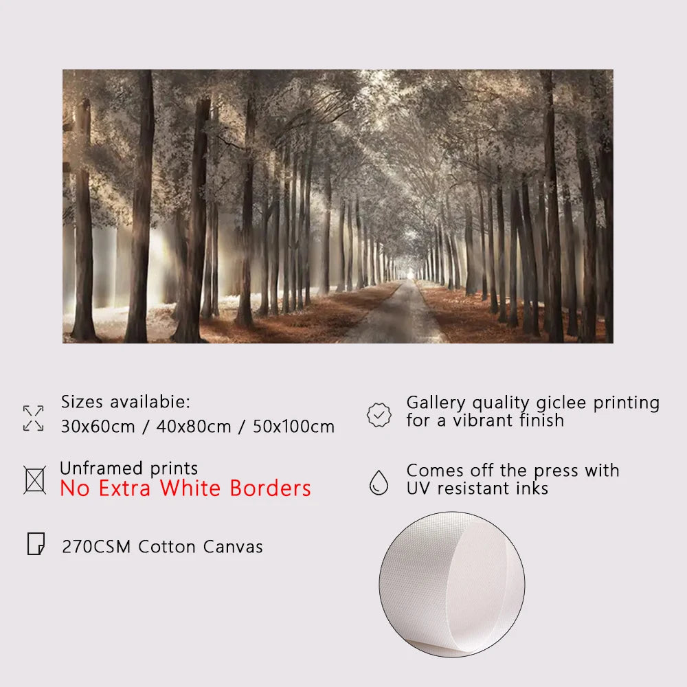 Autumn Sunshine Forest Wall Art Fine Art Canvas Print Natural Landscape Picture For Living Room Dining Room Scandinavian Home Decor