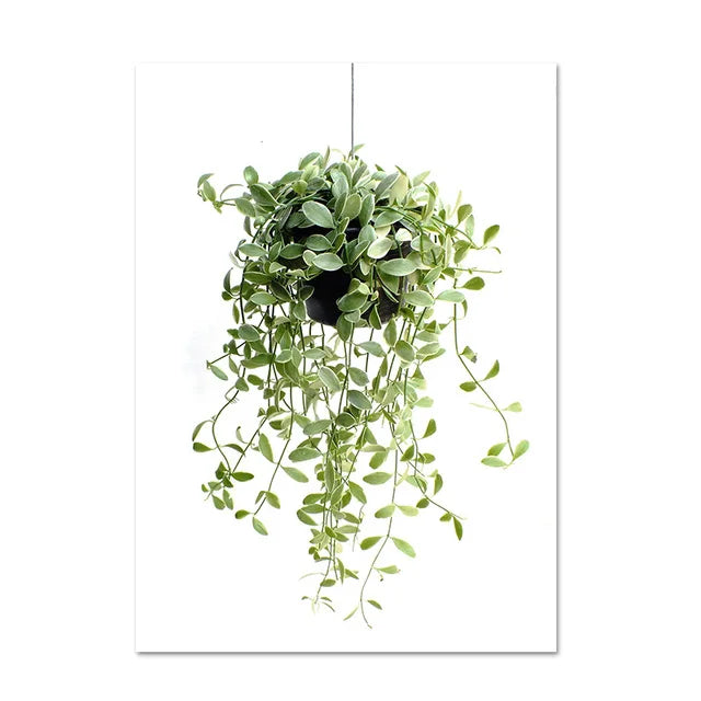 Cactus Eucalyptus Tropical Green Botany Wall Art Fine Art Canvas Prints Pictures For Living Room Kitchen Dining Room Home Decor