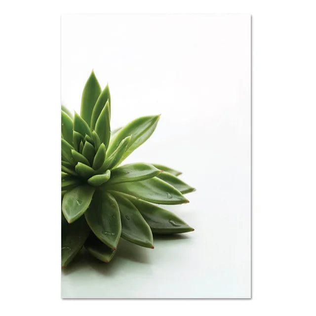 Cactus Eucalyptus Tropical Green Botany Wall Art Fine Art Canvas Prints Pictures For Living Room Kitchen Dining Room Home Decor