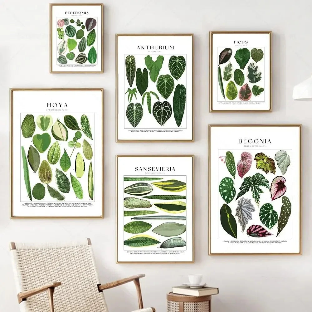 Classic Botanical Specimen Posters Green Leaves Wall Art Fine Art Canvas Prints Pictures For Kitchen Dining Room Living Room Decor