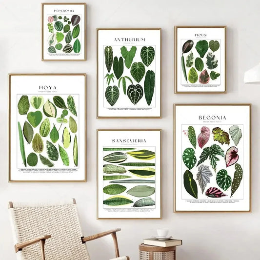 Classic Botanical Specimen Posters Green Leaves Wall Art Fine Art Canvas Prints Pictures For Kitchen Dining Room Living Room Decor