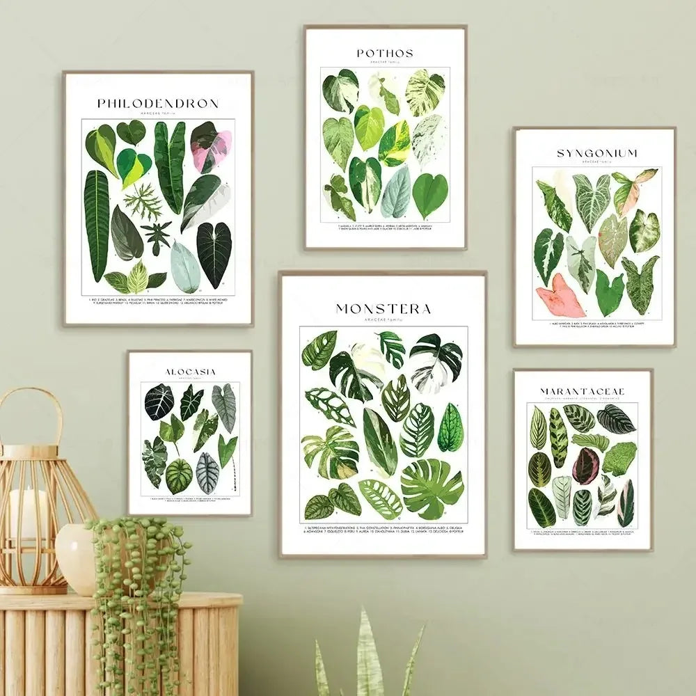 Classic Botanical Specimen Posters Green Leaves Wall Art Fine Art Canvas Prints Pictures For Kitchen Dining Room Living Room Decor 2025