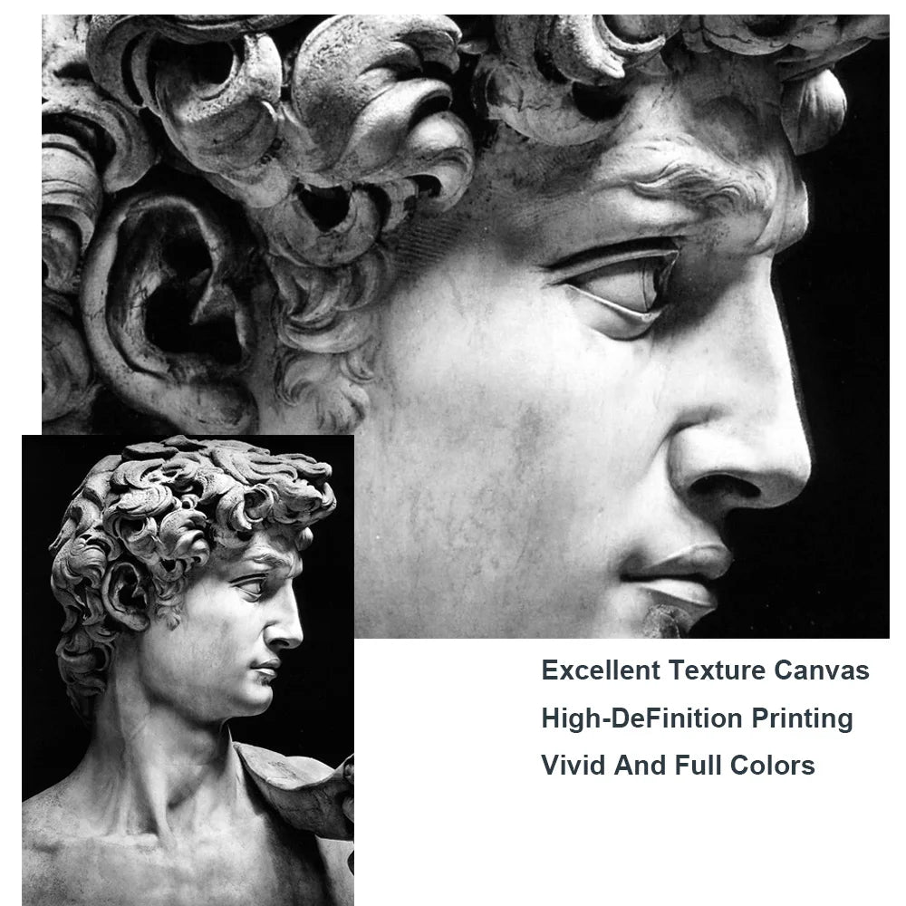 Classical Renaissance Sculpture Michelangelo David Statue Wall Art Fine Art Canvas Print Black & White Picture For Living Room Home Office Decor