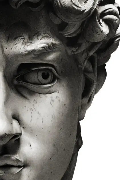 Classical Renaissance Sculpture Michelangelo David Statue Wall Art Fine Art Canvas Print Black & White Picture For Living Room Home Office Decor