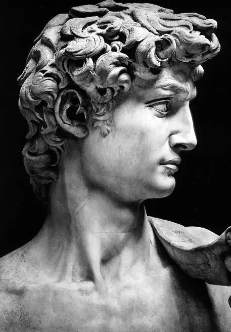 Classical Renaissance Sculpture Michelangelo David Statue Wall Art Fine Art Canvas Print Black & White Picture For Living Room Home Office Decor