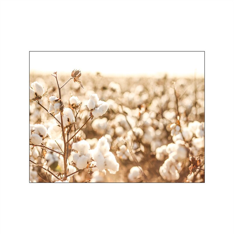 Summer Fields Morning Sunshine Wall Art Fine Art Canvas Prints Simple Lifestyle Landscape Pictures Of Nature For Living Room Decor