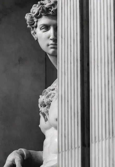 Classical Renaissance Sculpture Michelangelo David Statue Wall Art Fine Art Canvas Print Black & White Picture For Living Room Home Office Decor