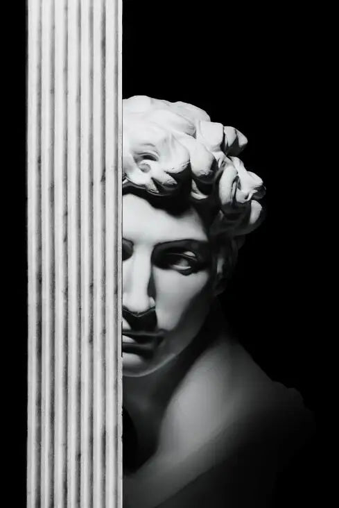 Classical Renaissance Sculpture Michelangelo David Statue Wall Art Fine Art Canvas Print Black & White Picture For Living Room Home Office Decor