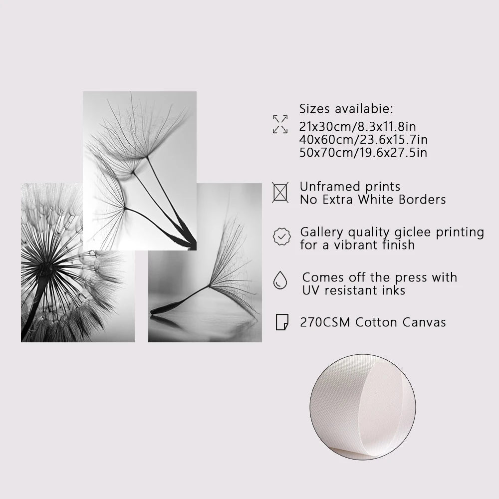 Collage of dandelion seed head images with product details on a light gray background