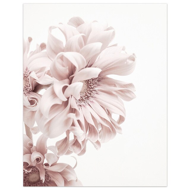 Pink Rose Fashion Peonies Wall Art Fine Art Canvas Prints Modern Floral Beauty Quote Pictures For Living Room Bedroom Art Decor