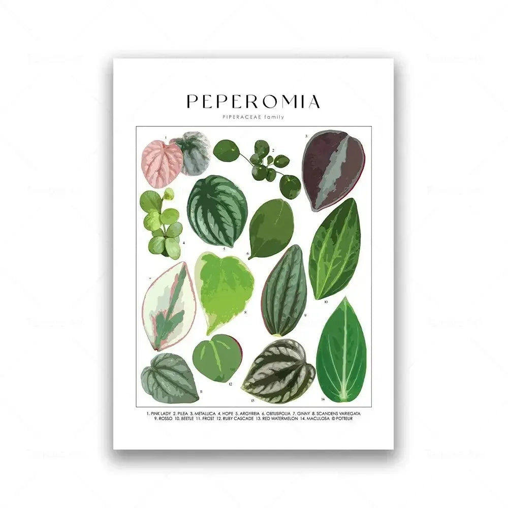 Classic Botanical Specimen Posters Green Leaves Wall Art Fine Art Canvas Prints Pictures For Kitchen Dining Room Living Room Decor 2025