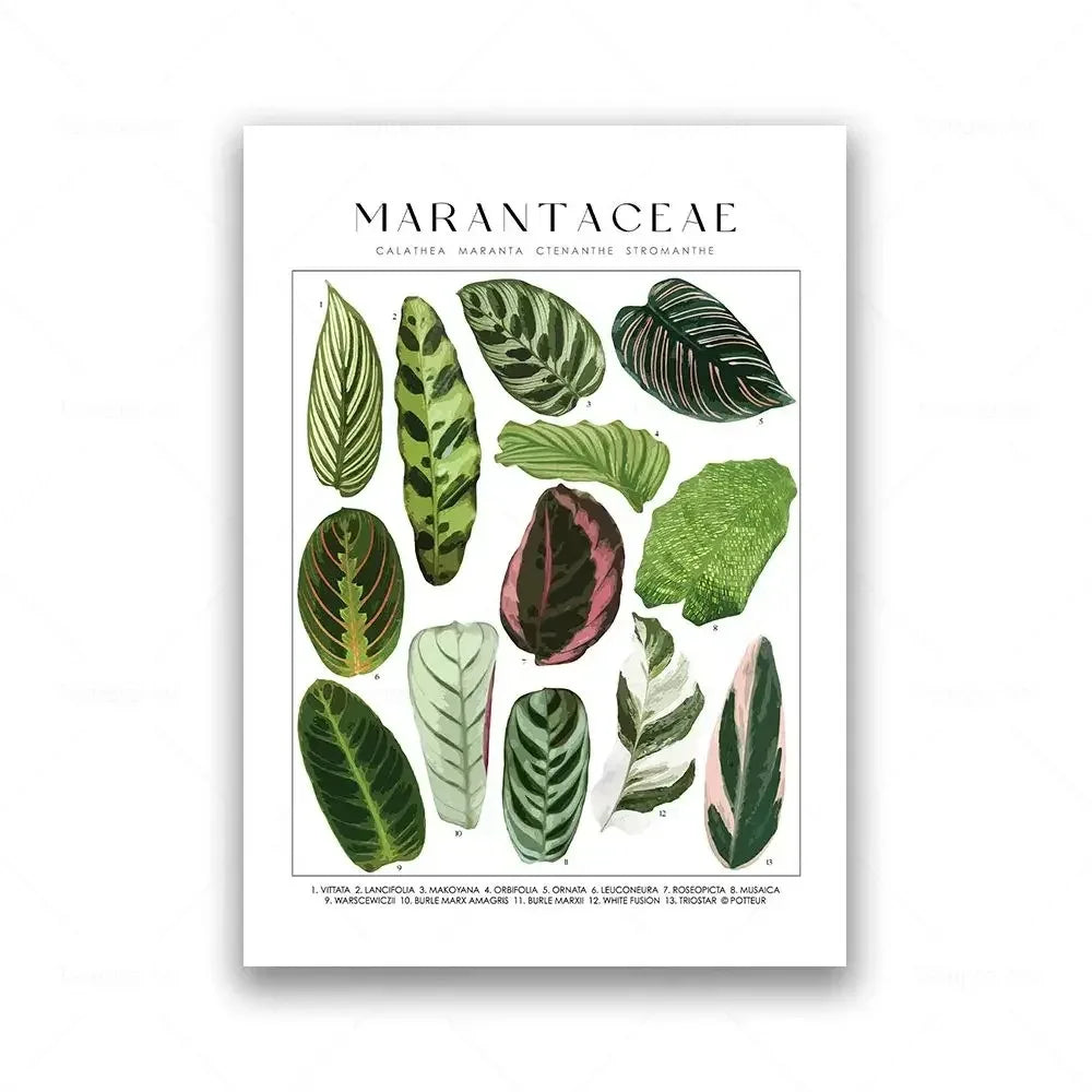 Classic Botanical Specimen Posters Green Leaves Wall Art Fine Art Canvas Prints Pictures For Kitchen Dining Room Living Room Decor 2025