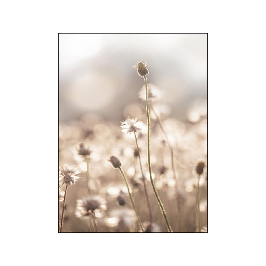 Natural Beige Grass Reeds Mountain Lake Landscapes Wall Art Fine Art Canvas Prints Pictures For Modern Living Room Gallery Wall Decor