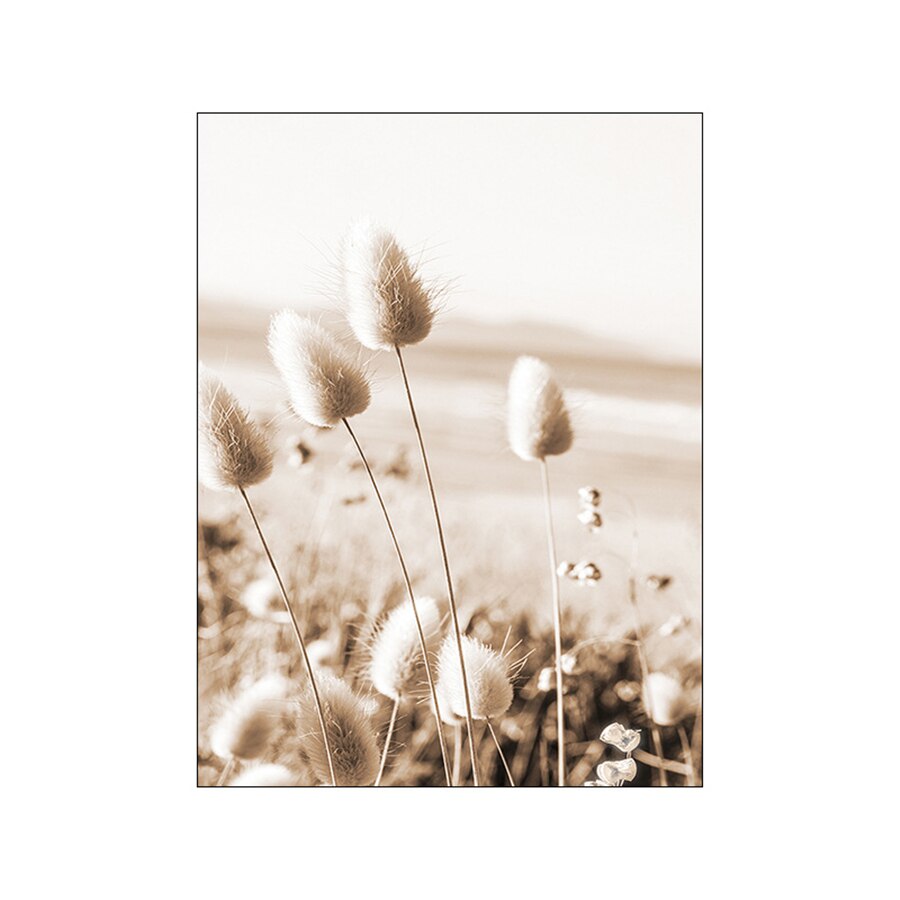 Natural Beige Grass Reeds Mountain Lake Landscapes Wall Art Fine Art Canvas Prints Pictures For Modern Living Room Gallery Wall Decor