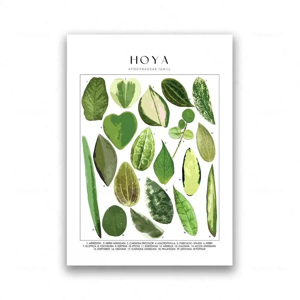 Classic Botanical Specimen Posters Green Leaves Wall Art Fine Art Canvas Prints Pictures For Kitchen Dining Room Living Room Decor 2025