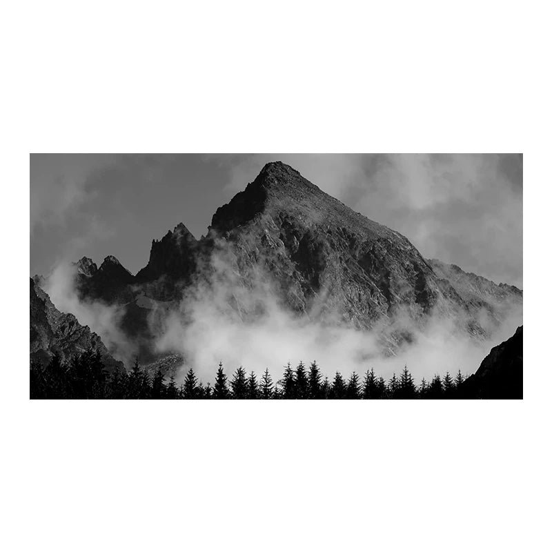 Northern Landscapes Forest Mountain Wilderness Wall Art Fine Art Canvas Prints Black White Posters For Living Room Modern Home Office Decor