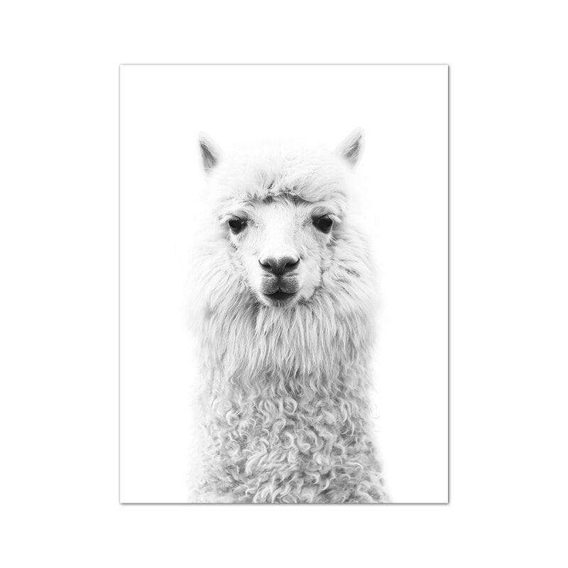 Cute Alpacas Black & White Animals Wall Art Fine Art Canvas Prints Pictures For Living Room Dining Room Kid's Bedroom Nursery Wall Art Decor