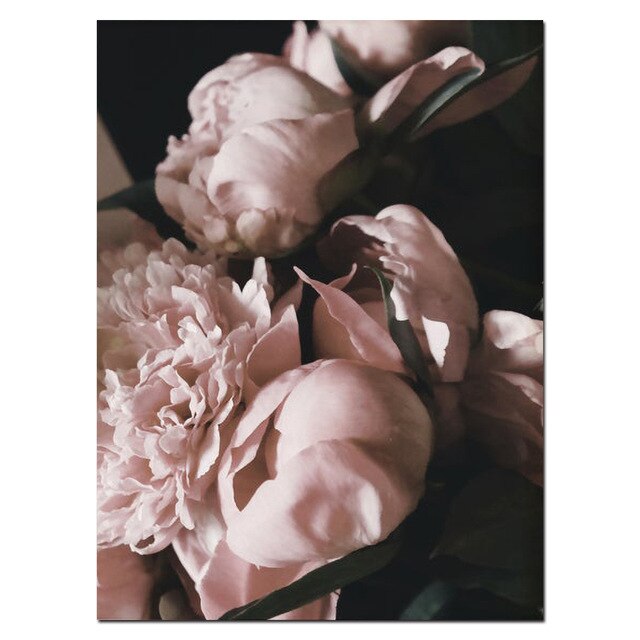 Pink Rose Fashion Peonies Wall Art Fine Art Canvas Prints Modern Floral Beauty Quote Pictures For Living Room Bedroom Art Decor