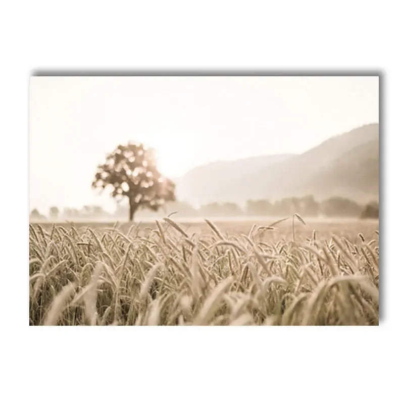 Tranquil Sunset Seascape Landscapes Wall Art Fine Art Canvas Prints Gallery Pictures For Living Room Bedroom Modern Nordic Pictures Of Calm 2025