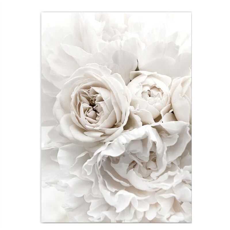 Simple Floral White Rose Peonies Wall Art Fine Art Canvas Prints Black White Botanical Pictures For Living Room Modern Interiors Home Decor