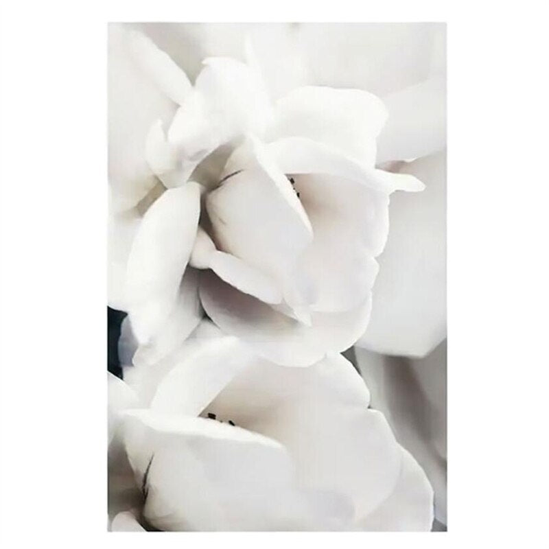 Simple Floral White Rose Peonies Wall Art Fine Art Canvas Prints Black White Botanical Pictures For Living Room Modern Interiors Home Decor