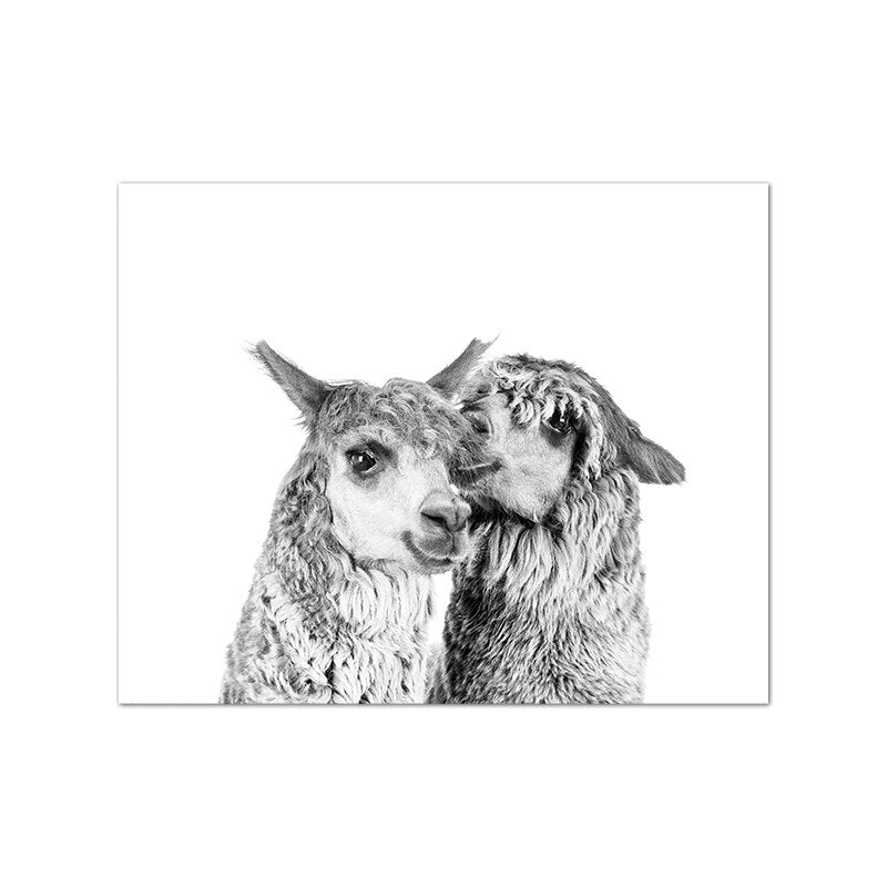 Cute Alpacas Black & White Animals Wall Art Fine Art Canvas Prints Pictures For Living Room Dining Room Kid's Bedroom Nursery Wall Art Decor