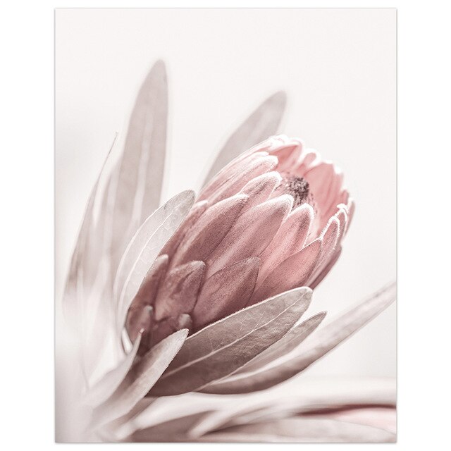 Pink Rose Fashion Peonies Wall Art Fine Art Canvas Prints Modern Floral Beauty Quote Pictures For Living Room Bedroom Art Decor
