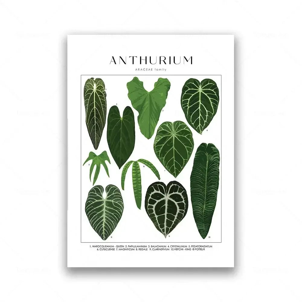 Classic Botanical Specimen Posters Green Leaves Wall Art Fine Art Canvas Prints Pictures For Kitchen Dining Room Living Room Decor 2025