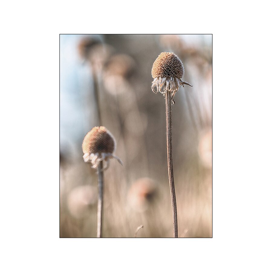 Natural Beige Grass Reeds Mountain Lake Landscapes Wall Art Fine Art Canvas Prints Pictures For Modern Living Room Gallery Wall Decor