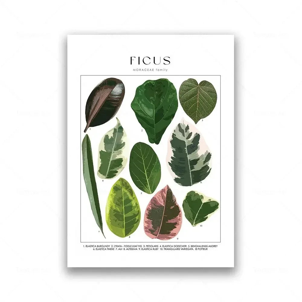 Classic Botanical Specimen Posters Green Leaves Wall Art Fine Art Canvas Prints Pictures For Kitchen Dining Room Living Room Decor 2025