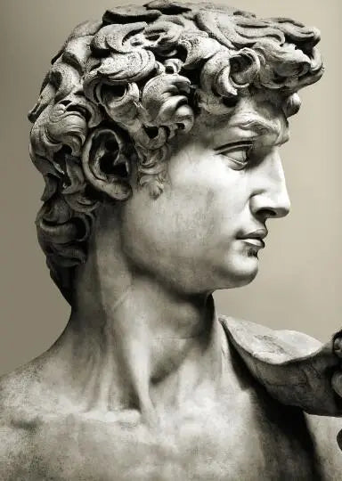 Classical Renaissance Sculpture Michelangelo David Statue Wall Art Fine Art Canvas Print Black & White Picture For Living Room Home Office Decor