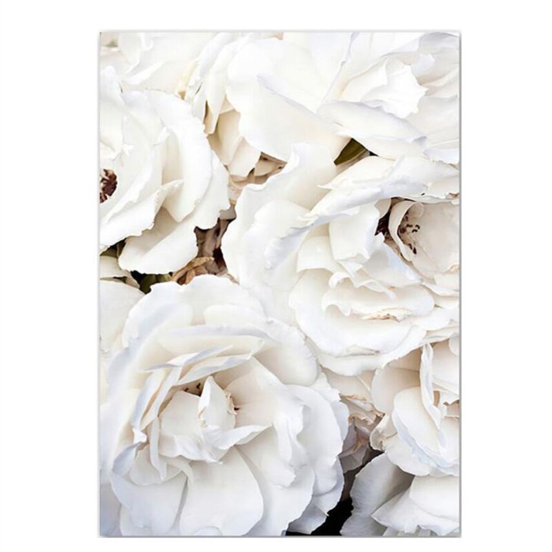 Simple Floral White Rose Peonies Wall Art Fine Art Canvas Prints Black White Botanical Pictures For Living Room Modern Interiors Home Decor
