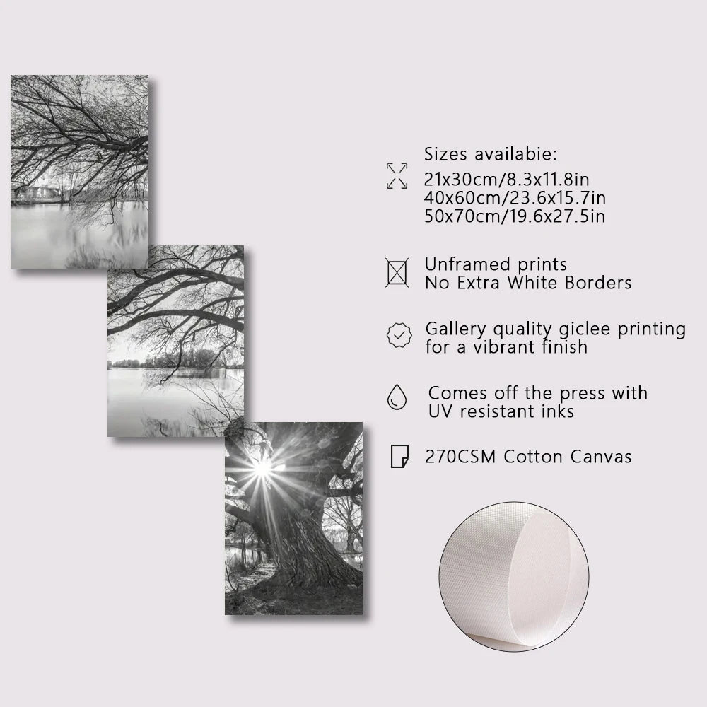 Set of 3Pcs Big Tree Lake Sunset Wall Art Fine Art Canvas Prints Black & White Landscape Pictures For Living Room Bedroom Dining Room Art Decor