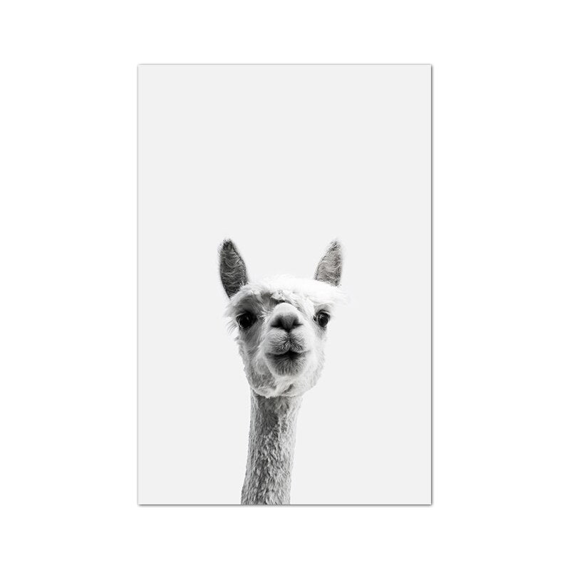 Cute Alpacas Black & White Animals Wall Art Fine Art Canvas Prints Pictures For Living Room Dining Room Kid's Bedroom Nursery Wall Art Decor