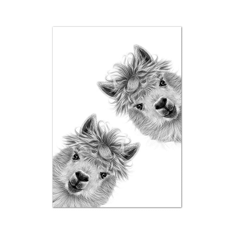 Cute Alpacas Black & White Animals Wall Art Fine Art Canvas Prints Pictures For Living Room Dining Room Kid's Bedroom Nursery Wall Art Decor