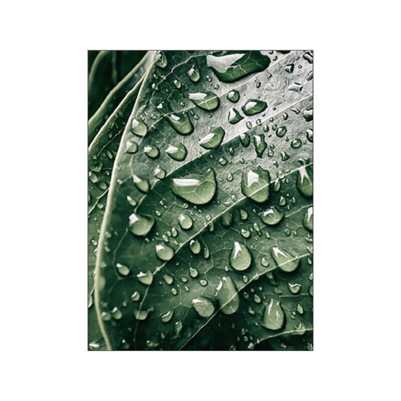 Cactus Monstera Minimalist Green Leaves Wall Art Do What Makes You Happy Poster Inspirational Pictures For Home Office Decor