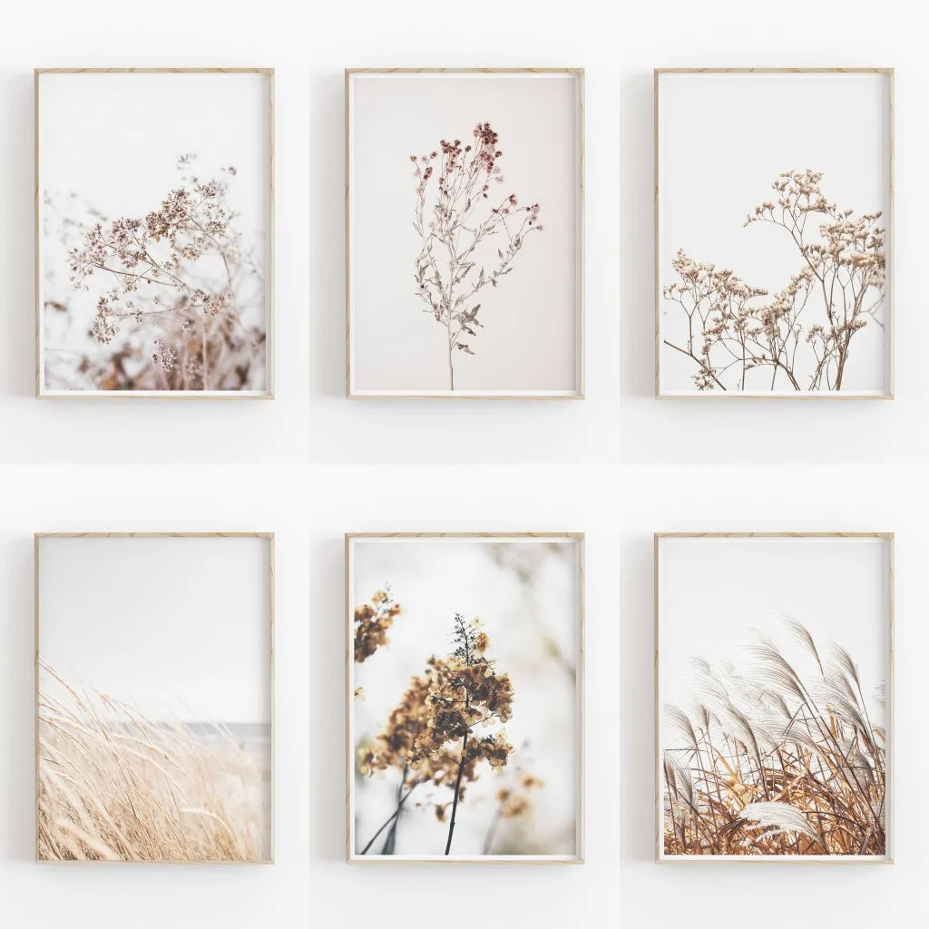 Set of six framed botanical prints on a white wall