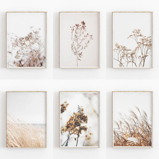 Set of six framed botanical prints on a white wall