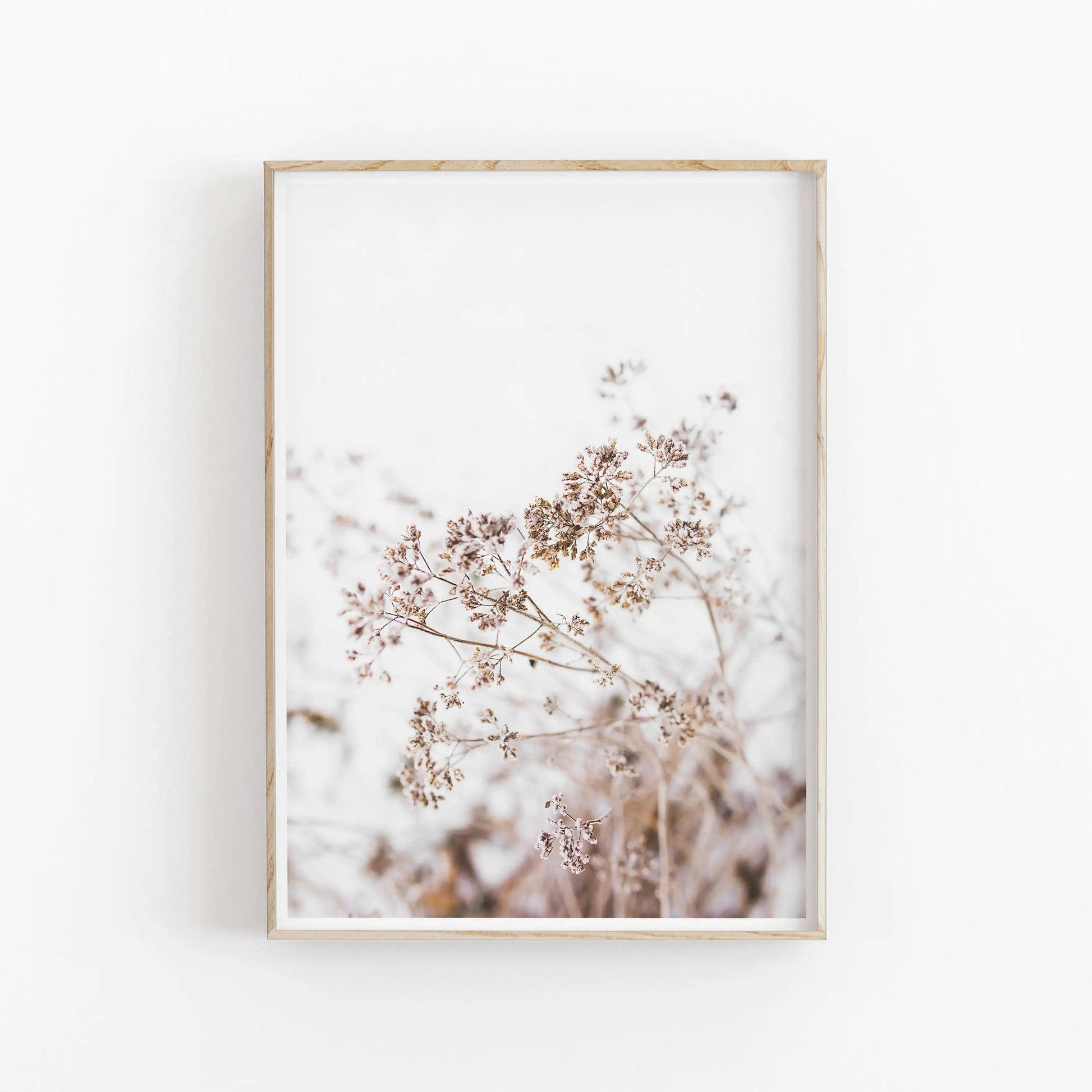 Framed artwork of dried flowers on a white background