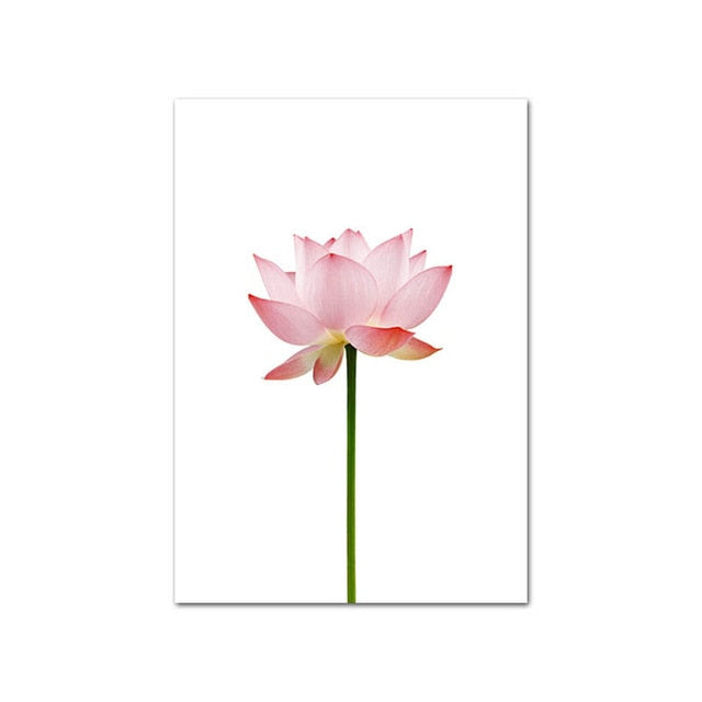 Modern Minimalist Floral Pink Wall Art Fine Art Canvas Prints Nordic Style Botanical Pictures For Scandinavian Design Bedroom Living Room Girls Room Wall Decor