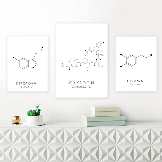 Molecular Biology Happy Hormones Wall Art Fine Art Canvas Prints Black White Minimalist Chemistry Posters For Promoting Happiness Pleasure And Relaxation