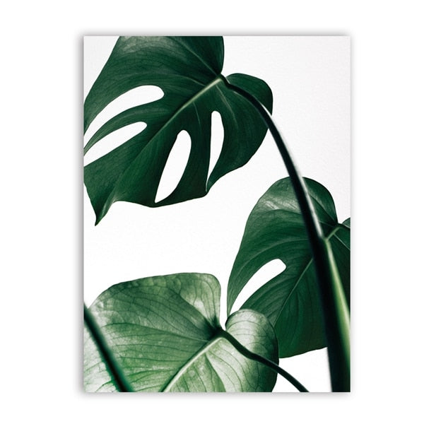 Follow Your Dreams Poster Don't Give Up Inspirational Quotation Wall Art With Beautiful Monstera Leaf Painting Fine Art Nordic Style Canvas Prints