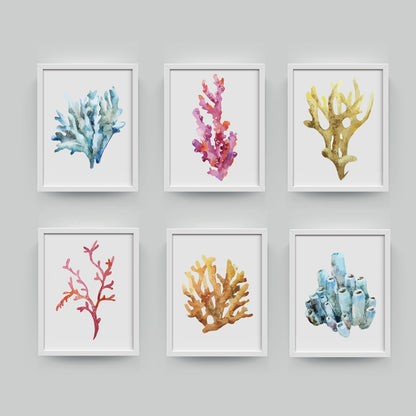 Beautiful Colorful Coral Specimens Subtle Abstract Wall Art Marine Life Fine Art Canvas Prints Paintings For Bathroom Nordic Style Interior Decor