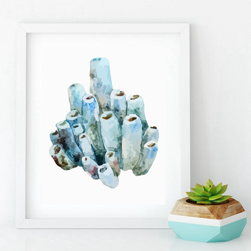 Beautiful Colorful Coral Specimens Subtle Abstract Wall Art Marine Life Fine Art Canvas Prints Paintings For Bathroom Nordic Style Interior Decor