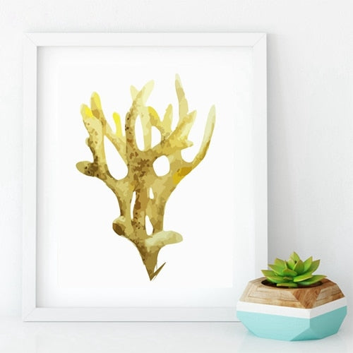 Beautiful Colorful Coral Specimens Subtle Abstract Wall Art Marine Life Fine Art Canvas Prints Paintings For Bathroom Nordic Style Interior Decor