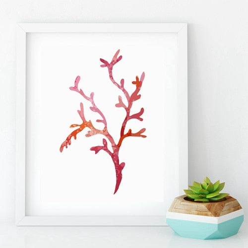 Beautiful Colorful Coral Specimens Subtle Abstract Wall Art Marine Life Fine Art Canvas Prints Paintings For Bathroom Nordic Style Interior Decor