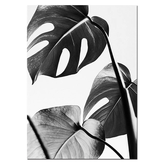 Stylish Black White Tropical Palm Leaves Wall Art Minimalist Today Quotation Fine Art Canvas Prints Nordic Style Modern Interiors Home Decor