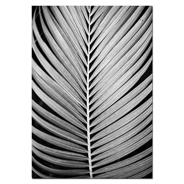 Stylish Black White Tropical Palm Leaves Wall Art Minimalist Today Quotation Fine Art Canvas Prints Nordic Style Modern Interiors Home Decor