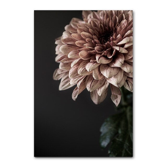 Ballet Girl Dancing Gallery Wall Art Stylish Minimalist Nordic Style Inspirational Quotation Floral Fine Art Canvas Prints Modern Home Decor