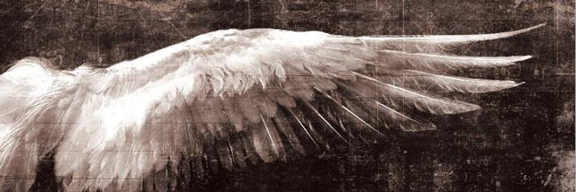 Wings Of An Angel Wall Art Vintage Fine Art Canvas Print Classic Feathers Posters For Living Room Bedroom Art Modern Home Interior Design
